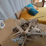 Supreme Danieli - By The Sea