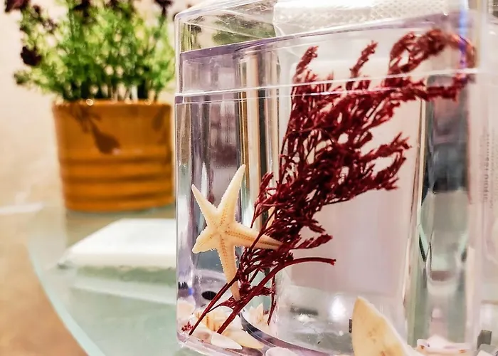 Apartamento Supreme Danieli - By The Sea